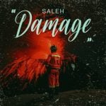دانلود آهنگ جدید صالح با عنوان خسارت