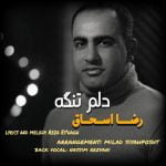 دانلود آهنگ جدید رضا اسحاق با عنوان دلم تنگه