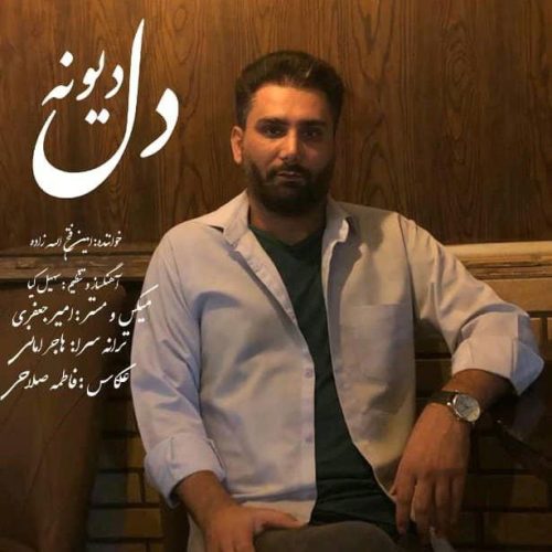 دانلود آهنگ جدید امین فتح الله زاده با عنوان دل دیوونه