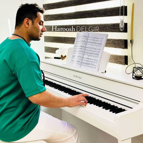 دانلود آهنگ جدید هاروش با عنوان دلگیر