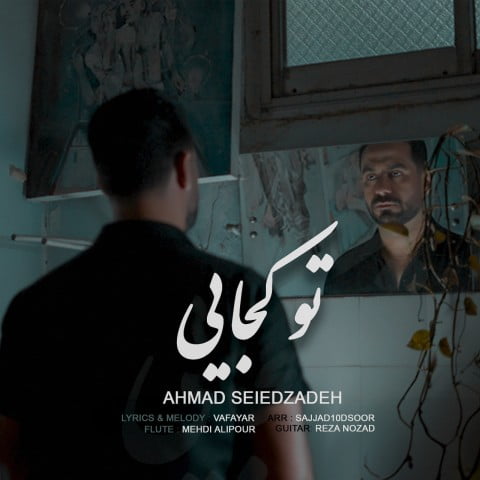 دانلود آهنگ جدید احمد سیدزاده با عنوان تو کجایی