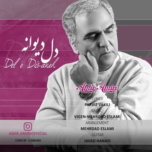 دانلود آهنگ جدید امیر امیری با عنوان دل دیوانه