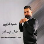 دانلود آهنگ جدید حمید قرایی با عنوان نهال بی ثمر