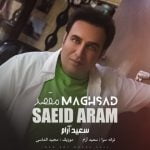 دانلود آهنگ جدید سعید آرام با عنوان مقصد