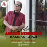 دانلود آهنگ جدید کامران قاضی با عنوان عاشق نمیشم