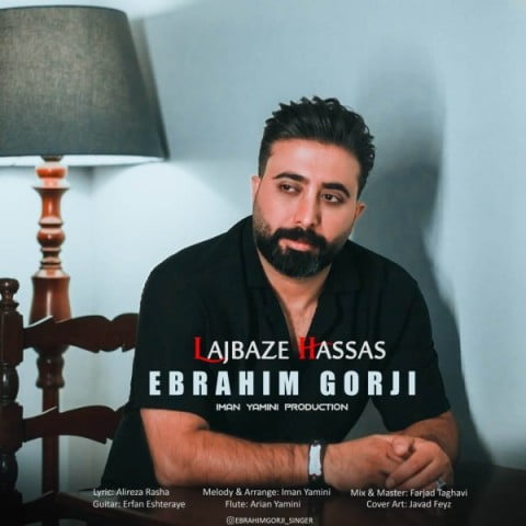 دانلود آهنگ جدید ابراهیم گرجی با عنوان لجباز حساس