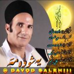 دانلود آهنگ جدید داوود صالحی با عنوان یه شووه مه