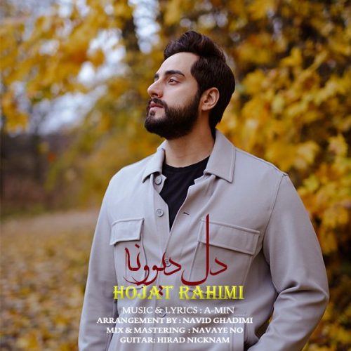 دانلود آهنگ جدید حجت رحیمی با عنوان دل دیوونه