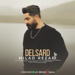 دانلود آهنگ جدید میلاد رضایی با عنوان دلسرد