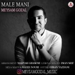 دانلود آهنگ جدید میثم گوزل با عنوان مال منی