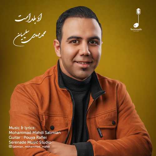 دانلود آهنگ جدید محمد مهدی سلیمیان با عنوان او بلد است