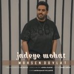 دانلود آهنگ جدید محسن دولت با عنوان جاده موهات