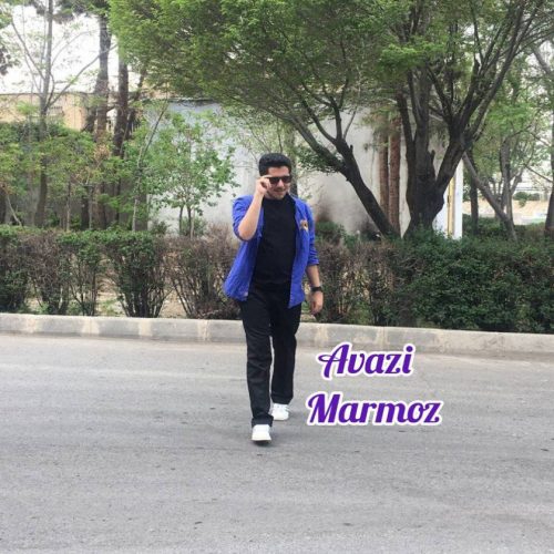 دانلود آهنگ جدید مرموز با عنوان عوضی