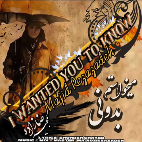 دانلود آهنگ جدید مجید رضازاده با عنوان میخواستم بدونی