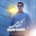 دانلود آهنگ جدید سهیل سرجامی با عنوان شبگردی
