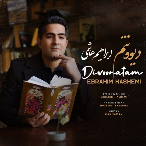 دانلود آهنگ جدید ابراهیم هاشمی با عنوان دیوونتم