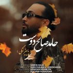 دانلود آهنگ جدید حامد صالح دوست با عنوان پاییز رنگی