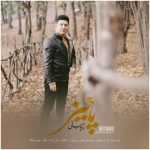 دانلود آهنگ جدید پویا بیاتی با عنوان پاییز