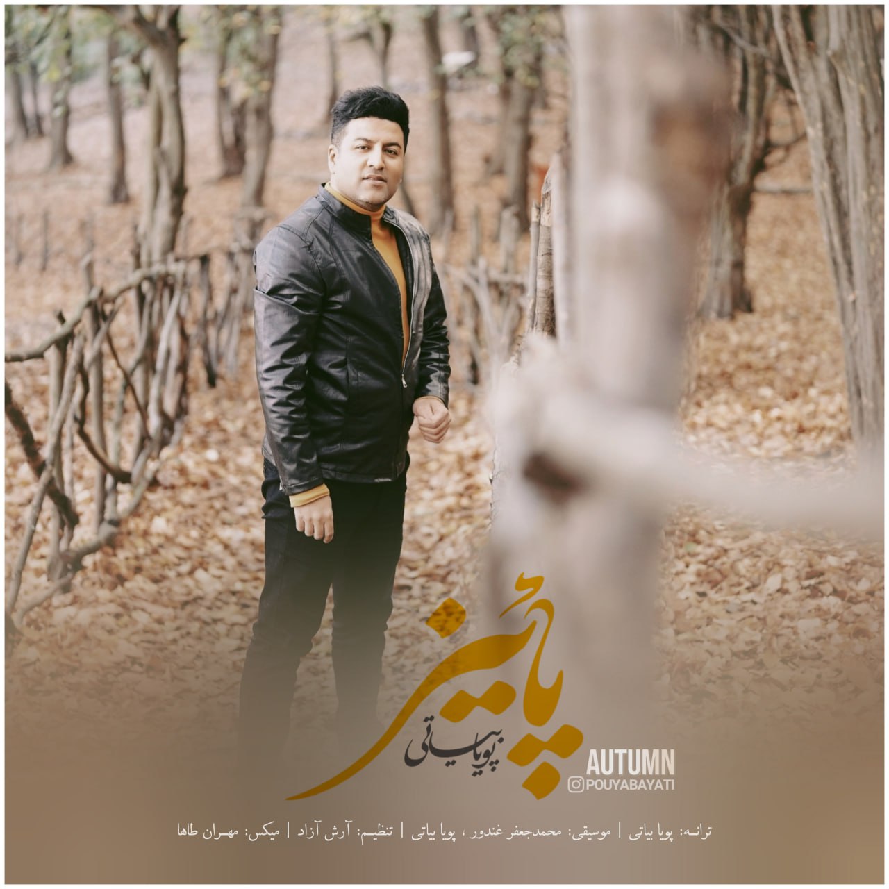 دانلود آهنگ جدید پویا بیاتی با عنوان پاییز