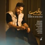 دانلود آهنگ جدید علی عبدالمالکی با عنوان یه شب