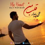 دانلود آهنگ جدید علی پایدار با عنوان قلبم