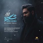 دانلود آهنگ جدید علی زندوکیلی با عنوان شگرد