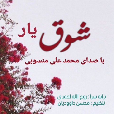 دانلود آهنگ جدید محمد علی منسوبی با عنوان شوق یار