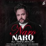دانلود آهنگ جدید علی عبدالمالکی با عنوان نرو نرو