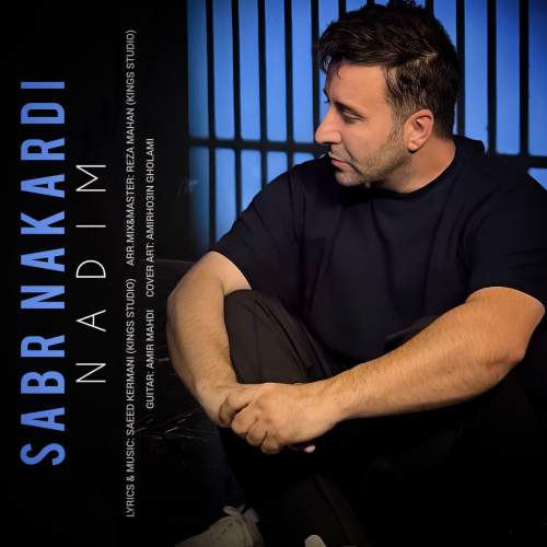 دانلود آهنگ جدید ندیم با عنوان صبر نکردی