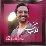 دانلود آهنگ جدید سینا شعبانخانی با عنوان قلب من