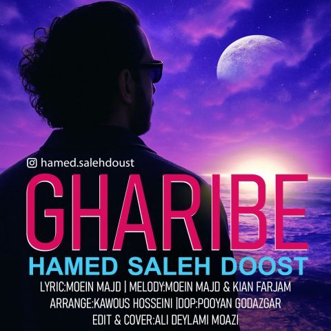 دانلود آهنگ جدید حامد صالح دوست با عنوان غریبه