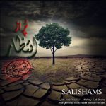 دانلود آهنگ جدید سید علی شمس با عنوان پر از انتظار