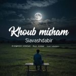 دانلود آهنگ جدید سیاوش دبیر با عنوان خوب میشم