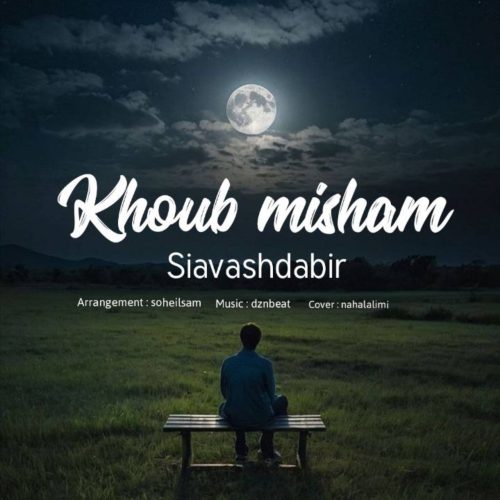 دانلود آهنگ جدید سیاوش دبیر با عنوان خوب میشم