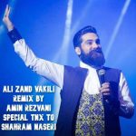 دانلود آهنگ جدید علی زندوکیلی با عنوان ریمیکس شاد (از امین رضوانی)