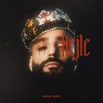 دانلود آهنگ جدید محسن چاوشی با عنوان یا مولا