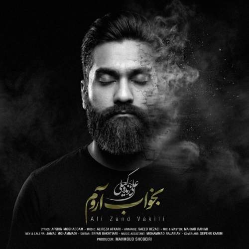 دانلود آهنگ جدید علی زندوکیلی با عنوان بخواب آروم