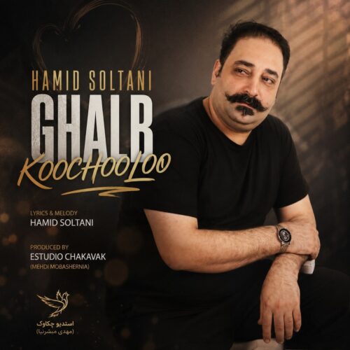 دانلود آهنگ جدید حمید سلطانی با عنوان قلب کوچولو
