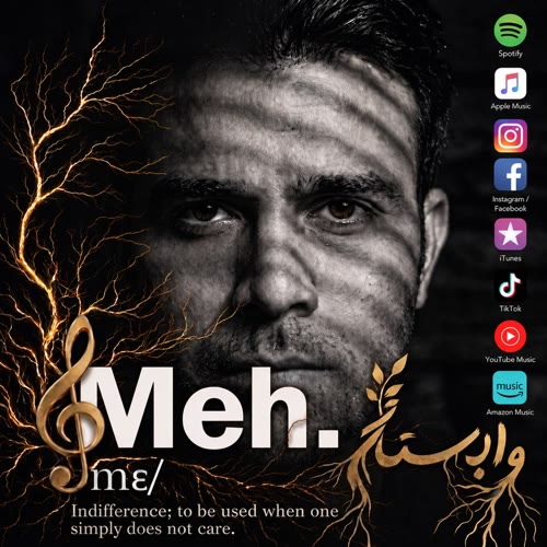 دانلود آهنگ جدید مه دی یوسفی با عنوان ریشه در وابستگی