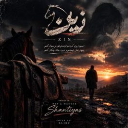 زین (دلی)