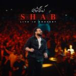 دانلود آهنگ جدید آرمان گرشاسبی با عنوان شب (زنده)